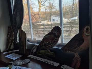 Relacja z Nocy Sów w Parku Krajobrazowym Wzniesień Łódzkich , 